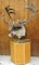 Caribou freestanding shoulder style mount with