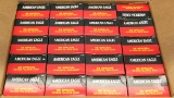 case lot of 20 boxes, 50 rounds per box