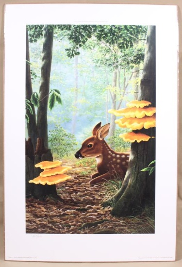"First Spring" by Rob Stine 567/600 Limited Ed.