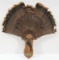 turkey 1974 Sullivan County beard & feather set on board
