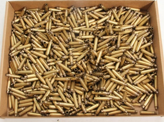 Hundreds of brass Lake City headstamp and other 5.56 fired cases.