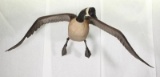 full size, life like Ted Hanks 1978 wood carved Canadian Goose in flight