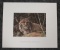 1983 Mississippi Wildlife Federation Conservation print 