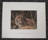 1983 Mississippi Wildlife Federation Conservation print 