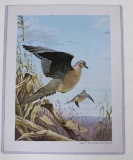 1975 PA Game Commission Doves by Ned Smith, 11