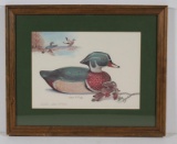 wood duck decoy print by James P. Fisher, 280/450, in frame