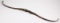 Bear Grizzly recurve bow AMO-58