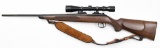 Winchester U.S. Repeating Arms Co. Model 52 .22 LR rifle