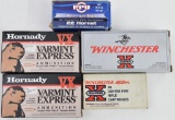 Assorted lot of ammunition & brass to include (16) rds live .225 win &
