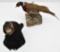 Black Bear head & Ring Neck Pheasant mounts.Special Shipping Required.......
