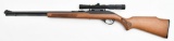 Marlin Glenfield Model 60 semi-auto rifle