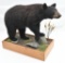 Black bear full body mount on stand