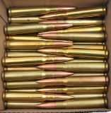 .50 BMG ammunition (51) rounds total,