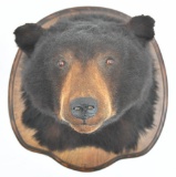 Black bear shoulder head mount