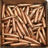 100 Count .50 BMG bullets, polished