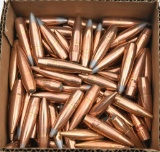 100 Count polished .50 BMG bullets