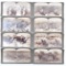 (8) Jack London & James Ricalton Stereo View Cards