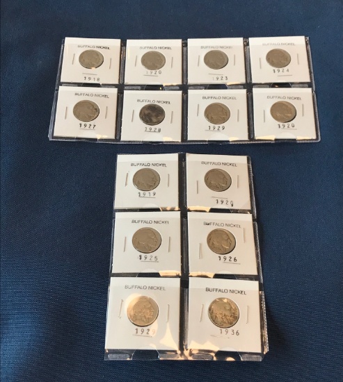 COLLECTION OF (14) BUFFALO NICKELS