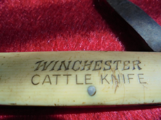 OLD "WINCHESTER CATTLE KNIFE" 3 BLADE-FAIR TO GOOD