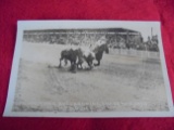 EARLY REAL PHOTO POST CARD OF MIKE HASTINGS BULLDOGGING CHEYENNE WYOMING