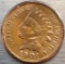 1901 INDIAN HEAD CENT - UNCIRCUALTED DETAILS