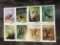 (8) Jennings Compound Bow Inc Wildlife Prints