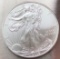 2009 American Silver Eagle - 1 Ounce of .999 Fine Silver