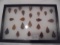 24 ARROW HEADS OR POINTS IN A DISPLAY BOX
