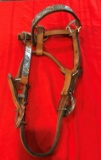 FANCY HORSE HALTER