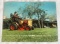 CASE GARDEN TRACTORS SALES BPOCHURE