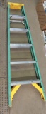 6' Werner Step Ladder