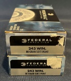 (2) Federal Power-Shok .243 Win