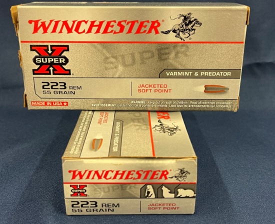 (2) Winchester .223 Rem 55gr JSP