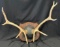Elk Mount --- 5x4