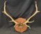 Elk Rack On Wall Mount -- 5x4