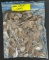 Bag of (500) Lincoln Wheat Cents