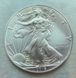 2016 American Silver Eagle - 1 Oz. of Fine Silver