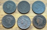 Lot of (6) US Large Cents