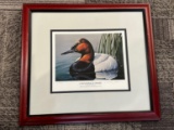 Canvasback Drake by Neal R. Anderson