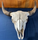 Buffalo Skull--NO Shipping