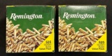 (2) Remington Golden Bullet .22LR Value Packs