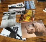 LOT OF (7) POSTERS - 3 FT BY 2FT