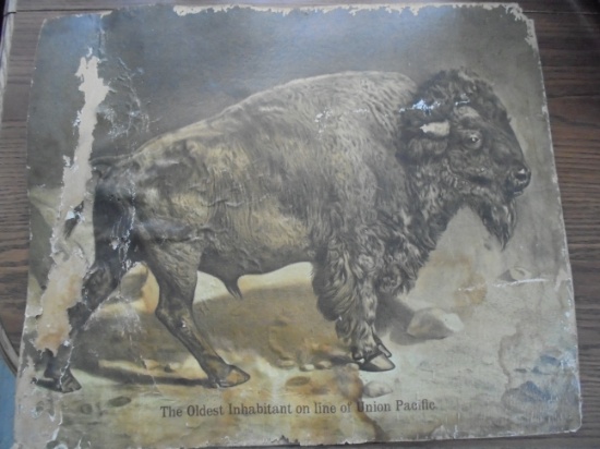 "OLDEST INHABITANT ON UNION PACIFIC LINE" PRINT-FAIR CONDITION ONLY