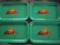 SET OF 4 OLD TRAYS WITH 