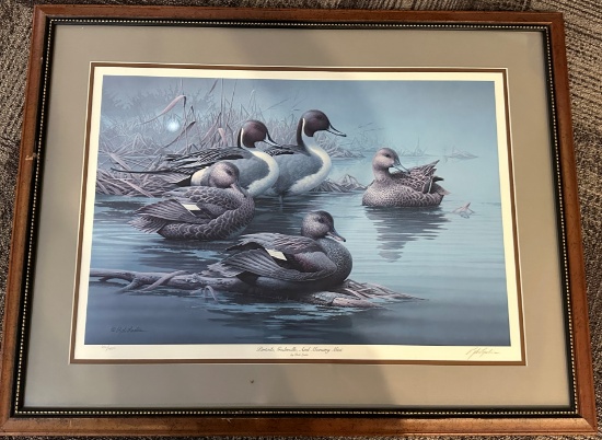 Pintails-Gadwalls-And Morning Mist by Rob Leslie