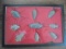 DISPLAY CASE WITH (9) INDIAN ARROW HEADS