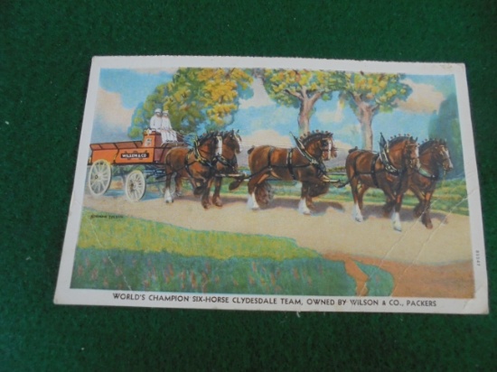 OLD POST CARD ADVERTISING "WILSON PACKERS" CHAMPION CLYDESDALE HORSE TEAM