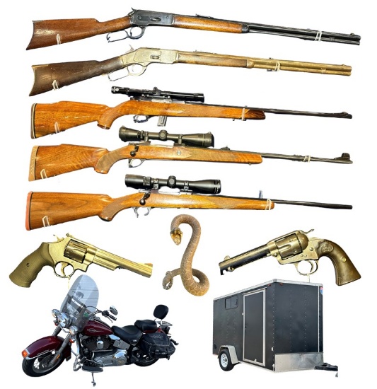 November Firearms, Ammunition, & Outdoors Auction