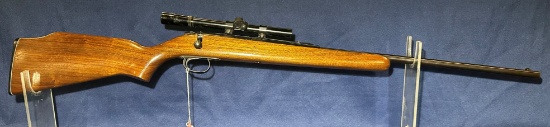 Remington Model 580 .22LR