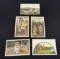 Lot of (5) Vintage Postcards -- Featuring Native Americans